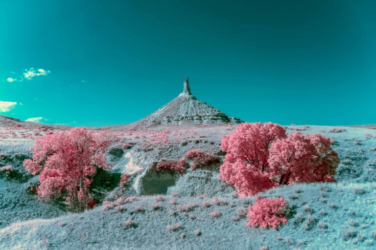 alien landscape on the oregon trail 246c1320 9193 4ab4 a7e0 73e270abe7e1