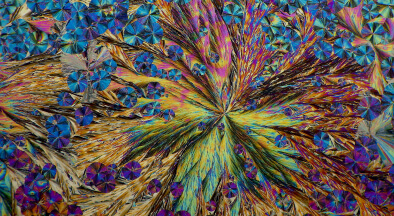 Contest categories 2026 - Abstract