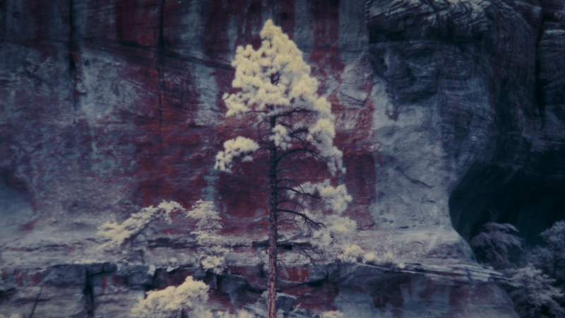 Frame 21