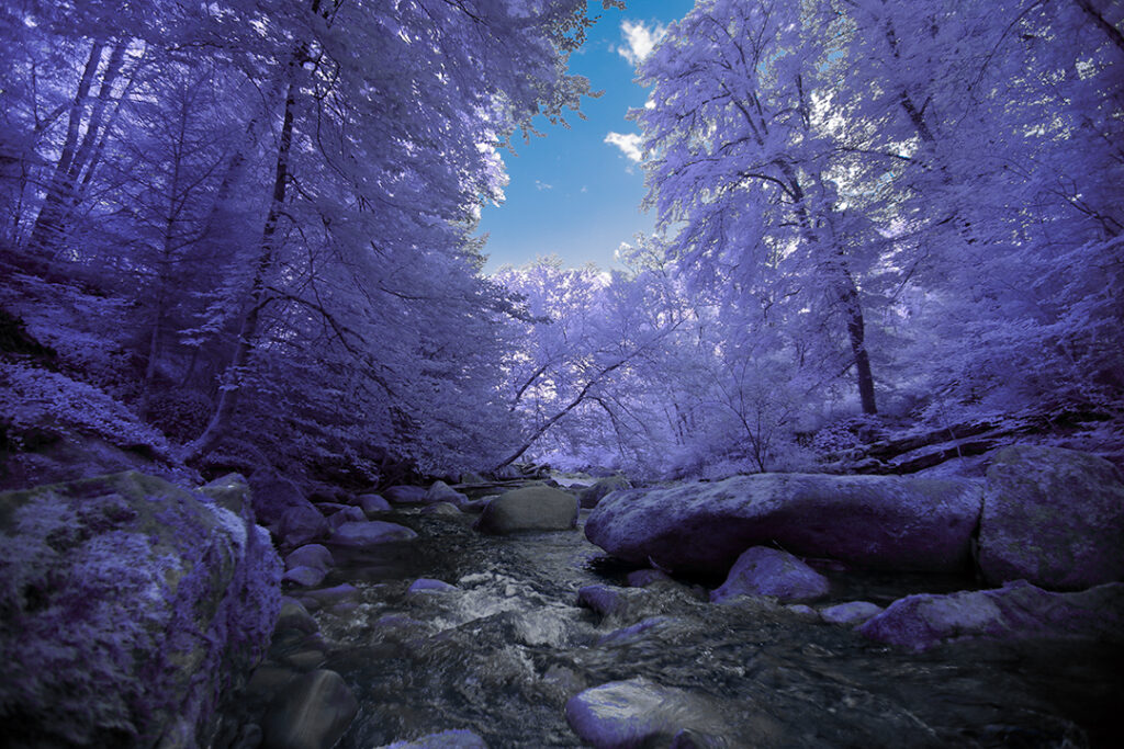 the Aubonne river