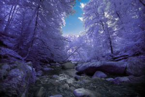 the Aubonne river