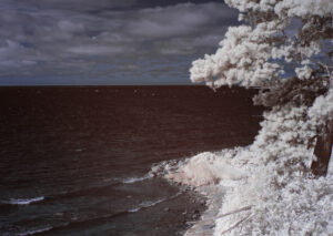 Windy beach on the Baltic Sea