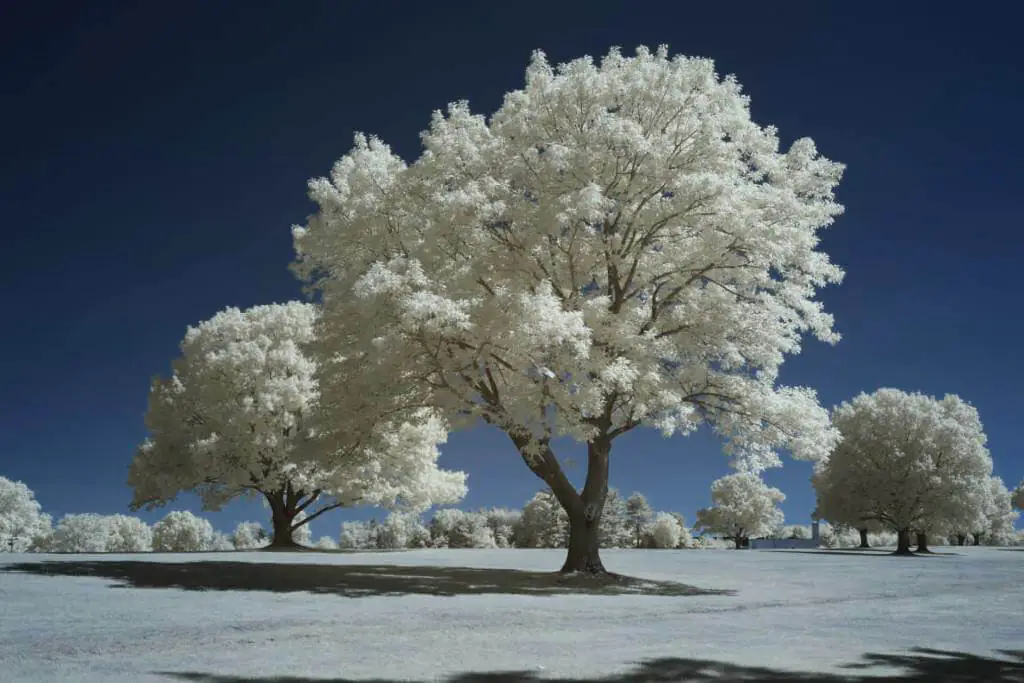 After image 665CWB-Medium-Small-CustomSwap 665nm Infrared Filter