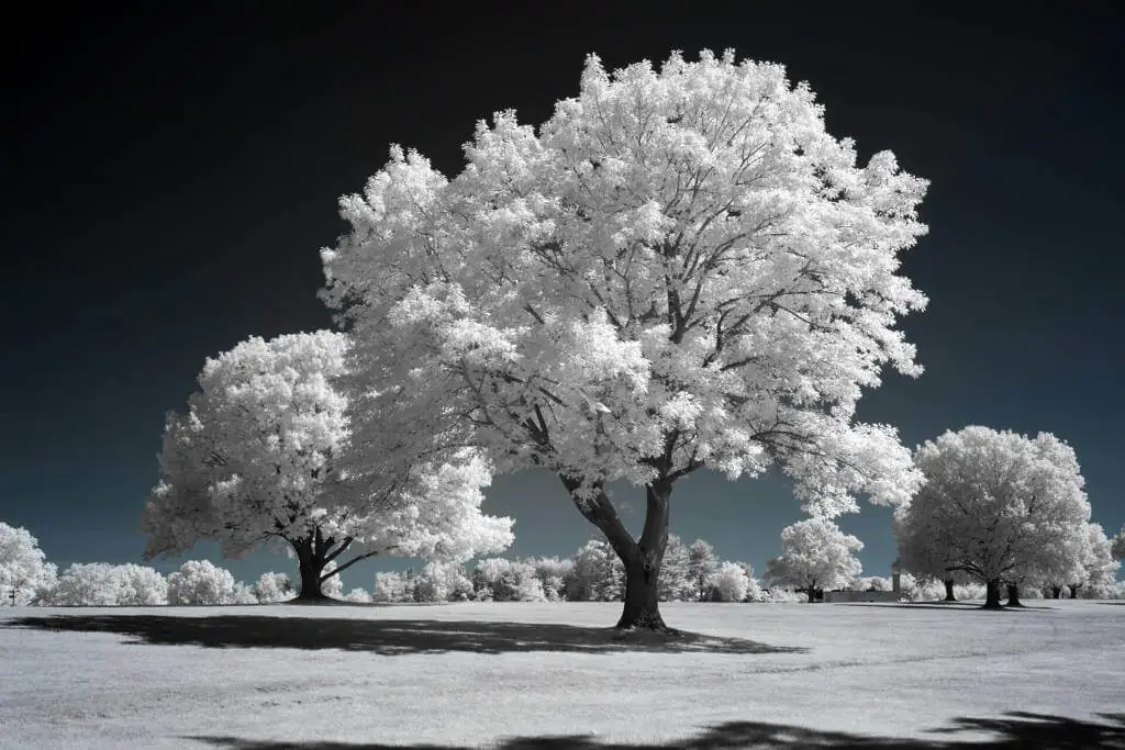 After image 720CWB-FC-H-Medium-Small-Custom 720nm Infrared Filter