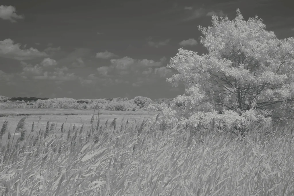After image 780nm_after_filter_effect_example_Full_Size-min 780nm Infrared Filter