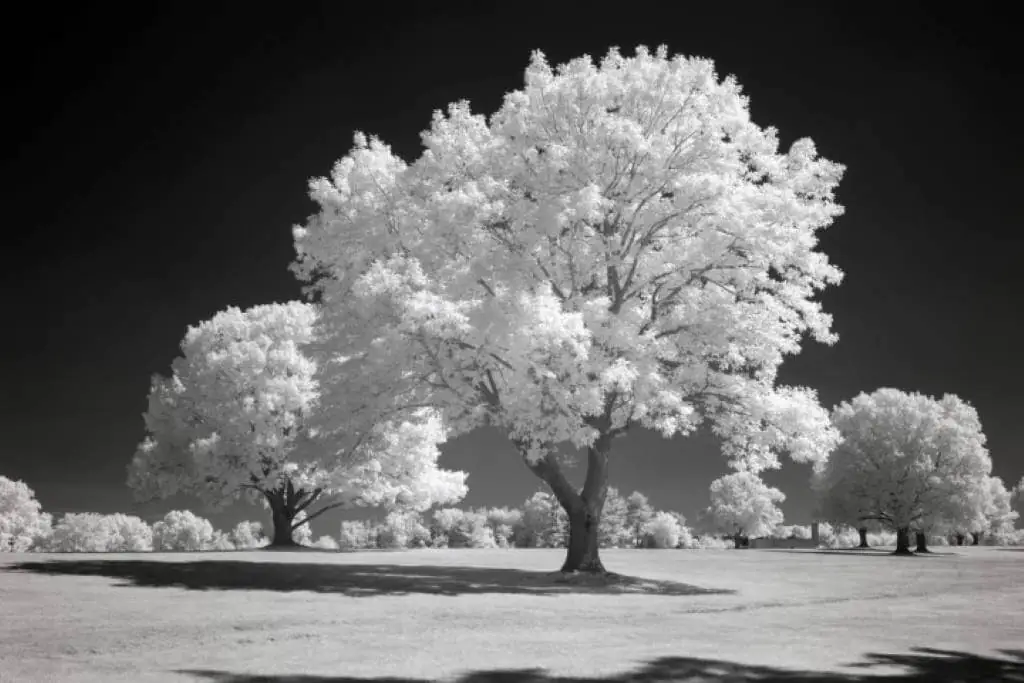 After image 850CWB-H-Medium-Small 850nm Infrared Filter