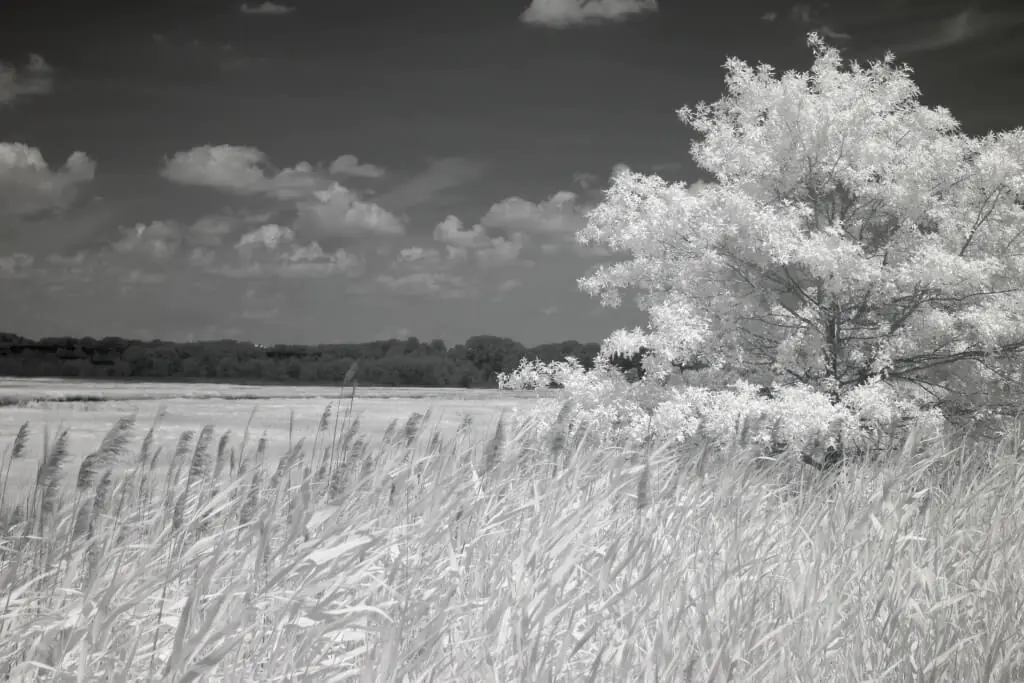 After image 930nm_after_filter_effect_example 930nm Infrared Filter
